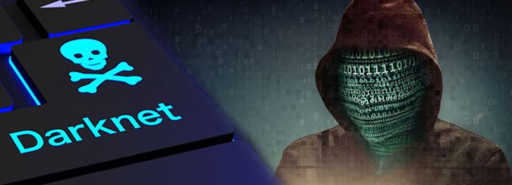 DarkNet Flash Casino